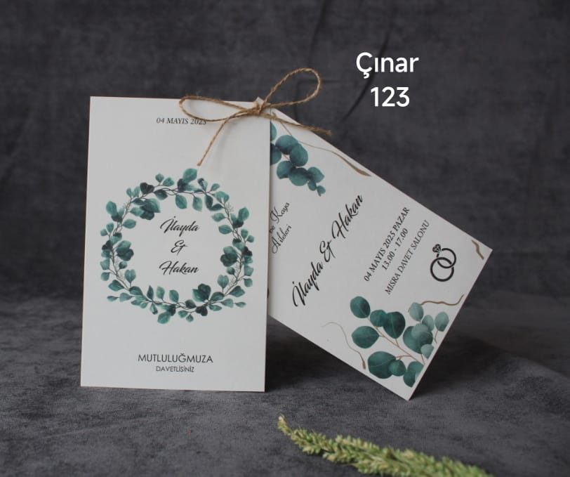 Çınar 123